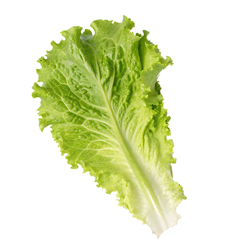 çiğ köfte
